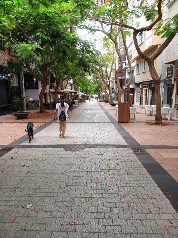 Center Santa Cruz, Alojamiento Centrico Con Gran Terraza, Cocina , Salon Y Banos, Todo Privado Екстер'єр фото